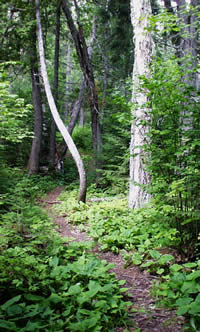 path